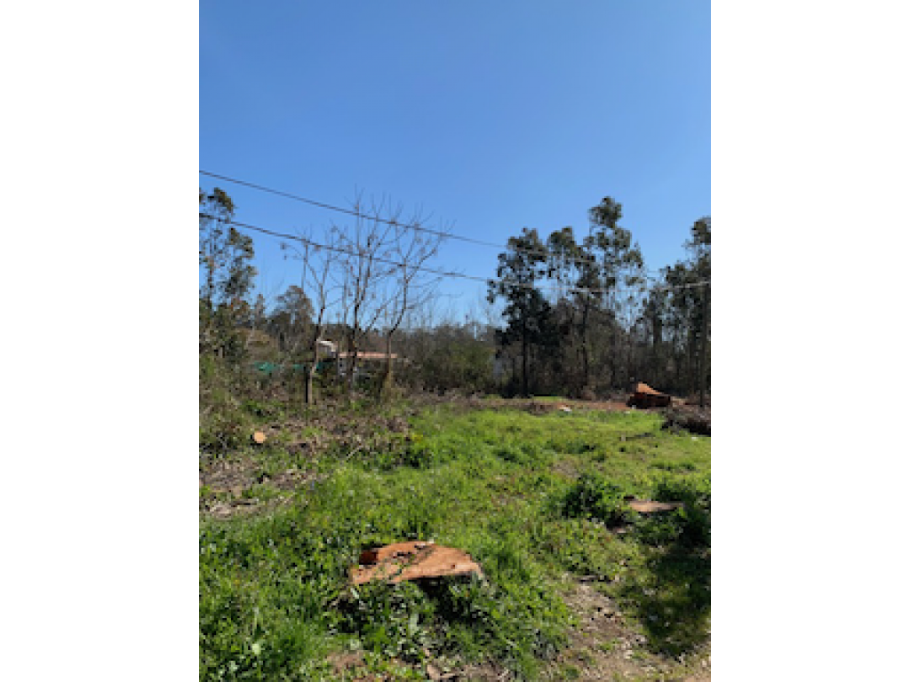 Venta  Punta del Este El Tesoro