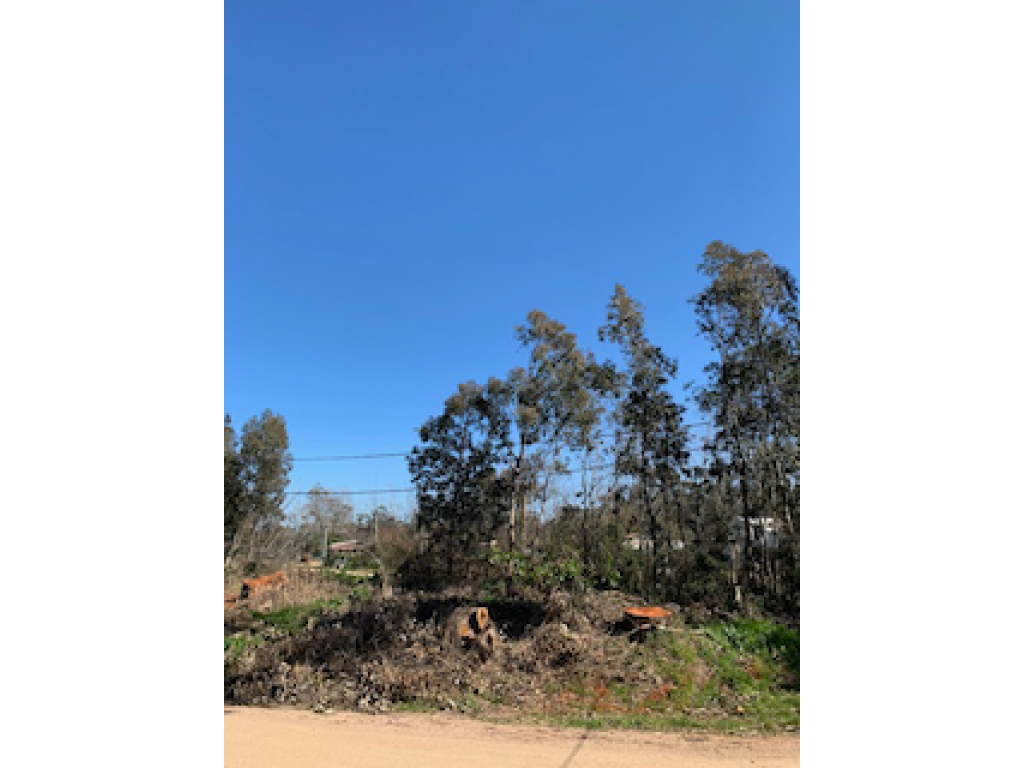 Venta  Punta del Este El Tesoro