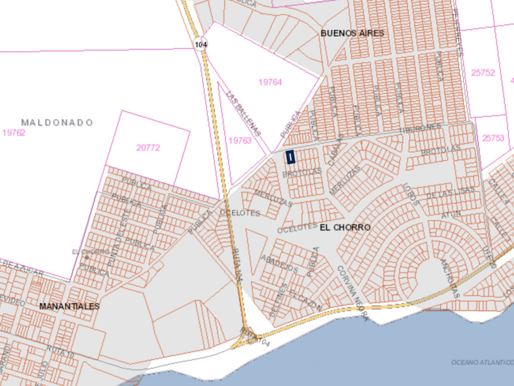 Venta  Punta del Este El Chorro