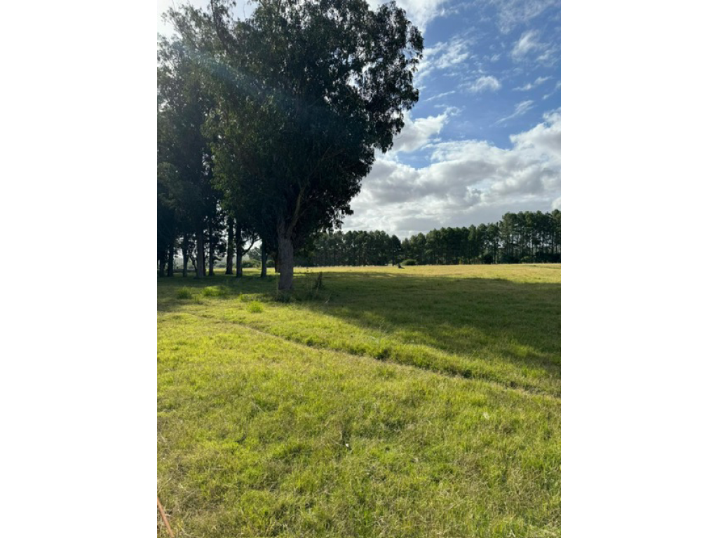 Venta  Punta del Este La Barra