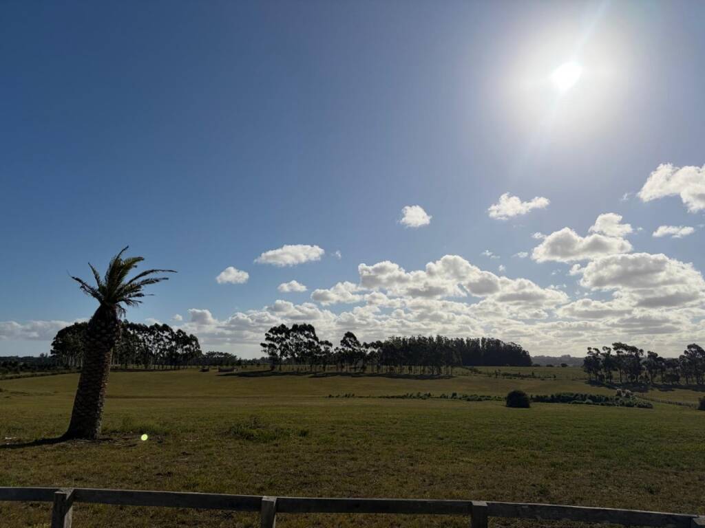 Venta  Punta del Este Ruta 104