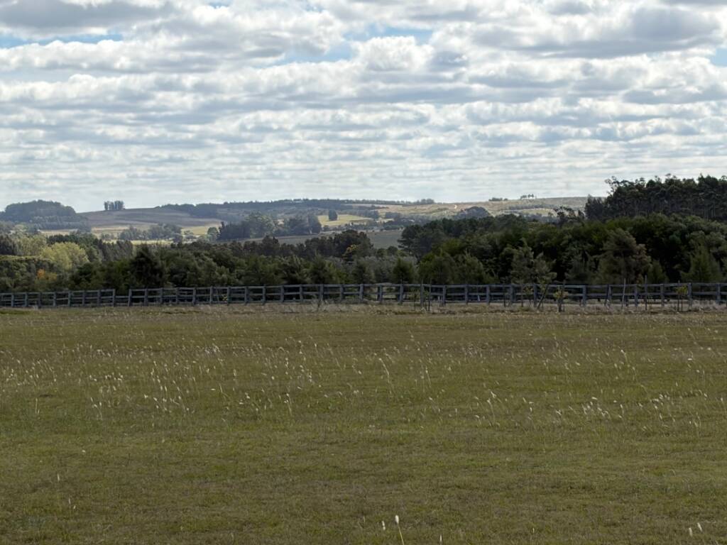 Venta  Punta del Este Ruta 104