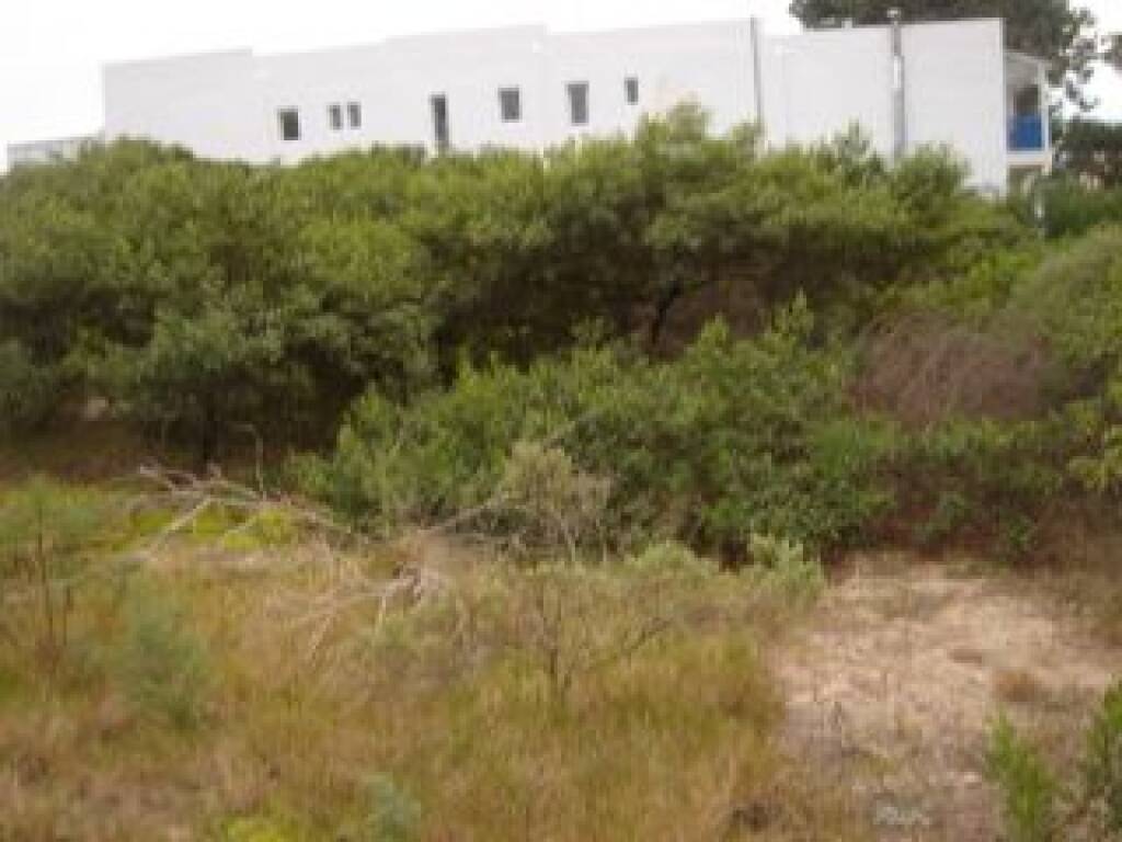 Venta  Punta del Este Montoya