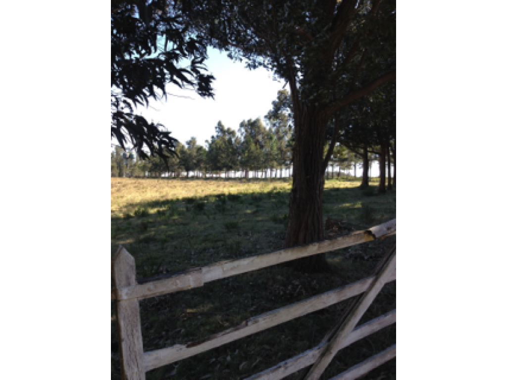 Venta  Punta del Este Ruta 104