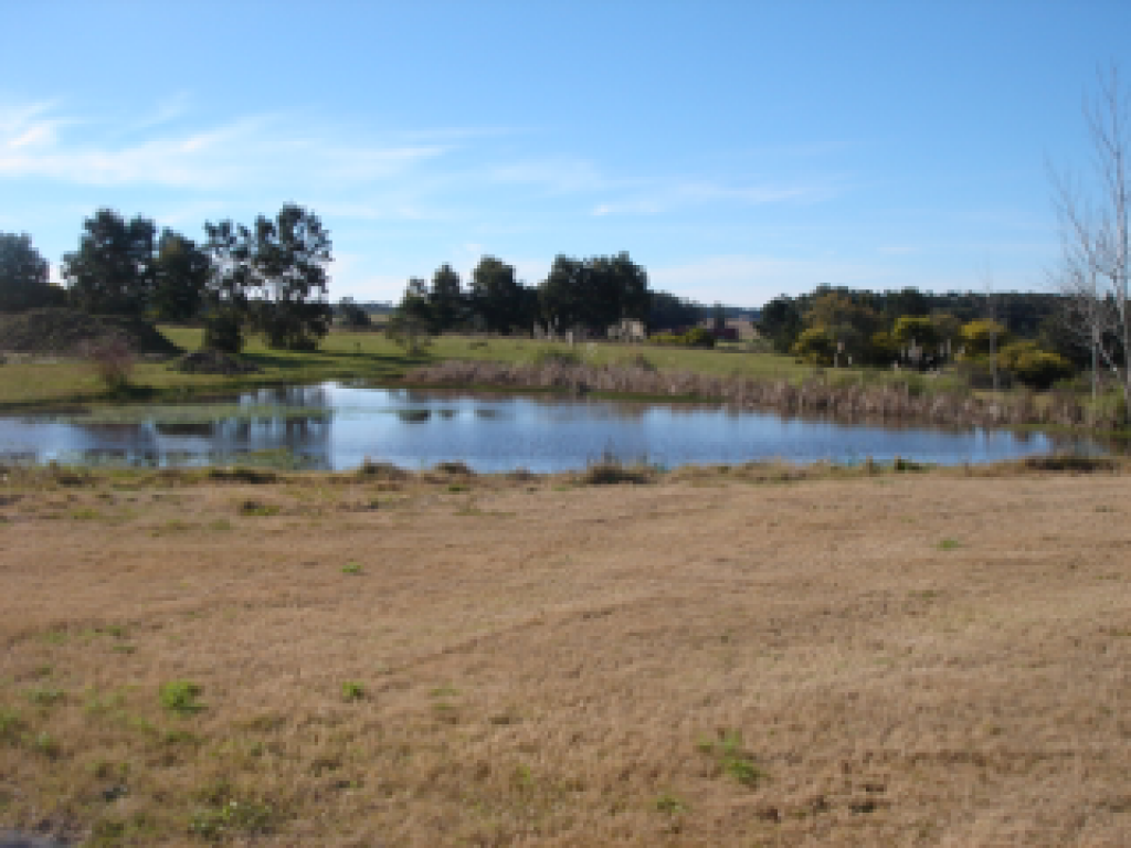 Venta, Temporadas  Punta del Este Ruta 104