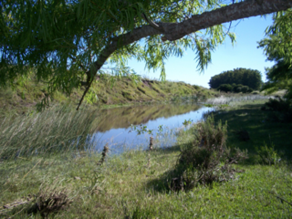 Venta  Punta del Este Minas