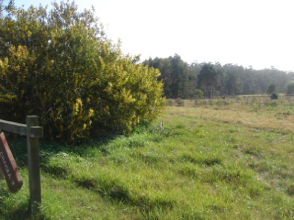 Venta  Punta del Este Ruta 104