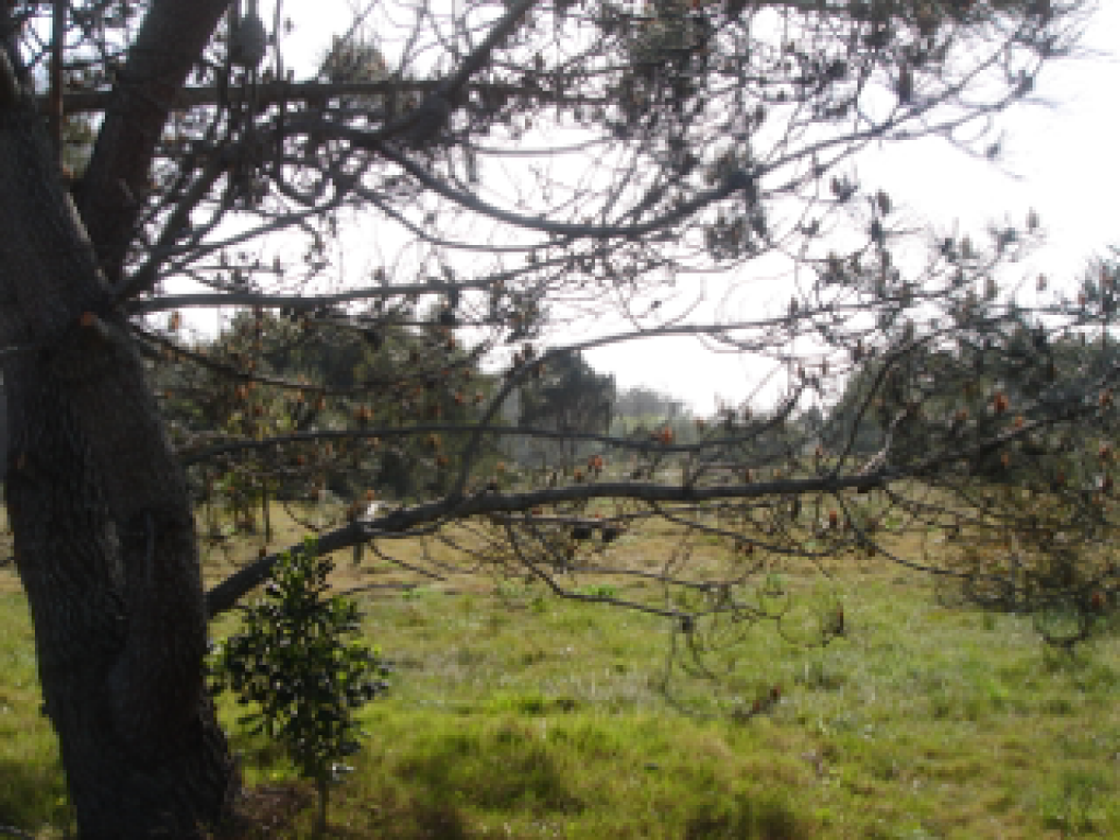 Venta  Punta del Este Ruta 104