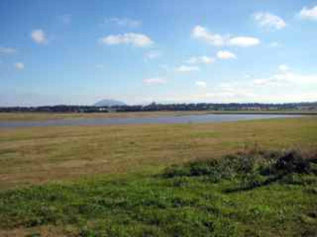 Venta  Punta del Este Punta Ballena