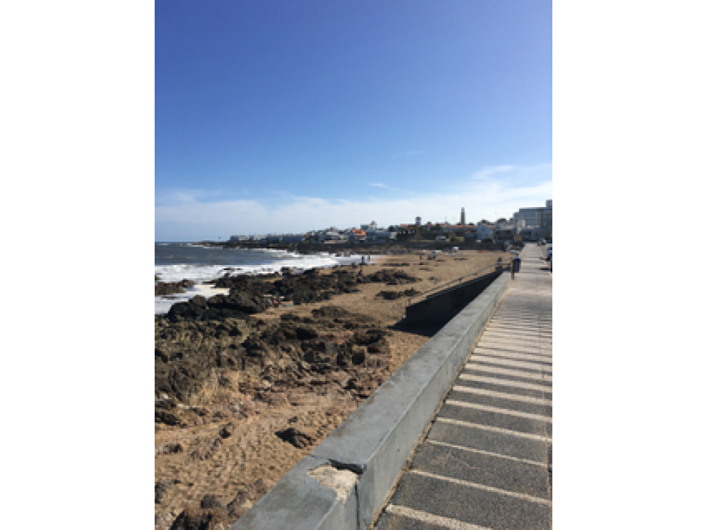 Venta  Punta del Este Pennsula