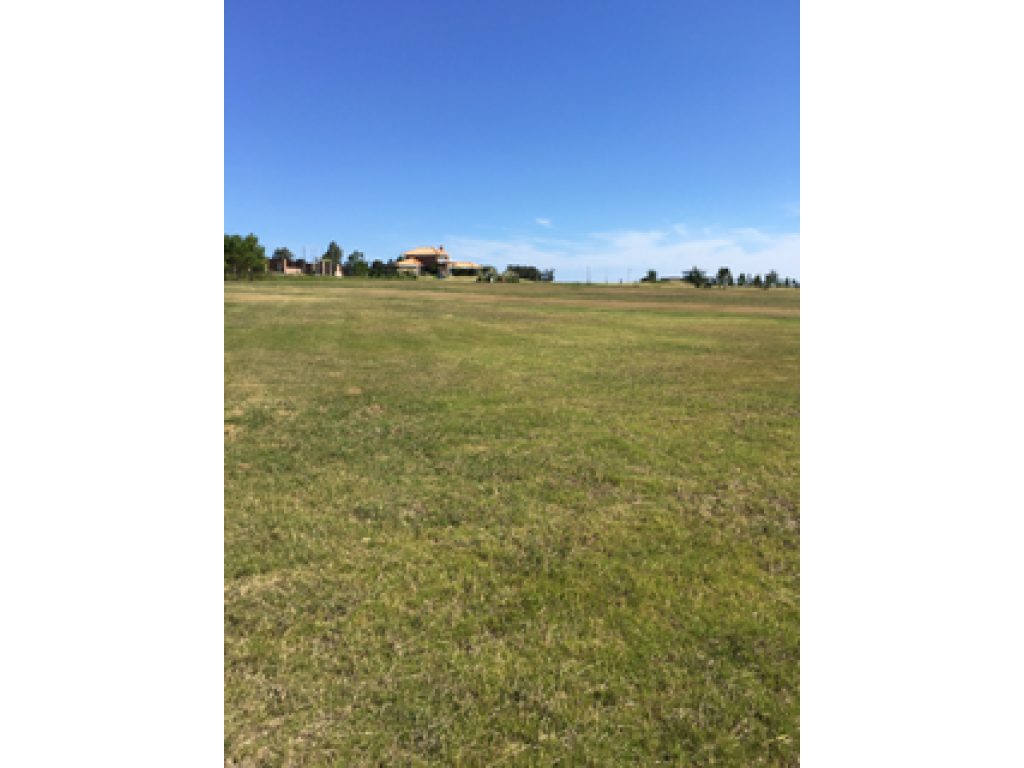 Venta  Punta del Este Punta Ballena