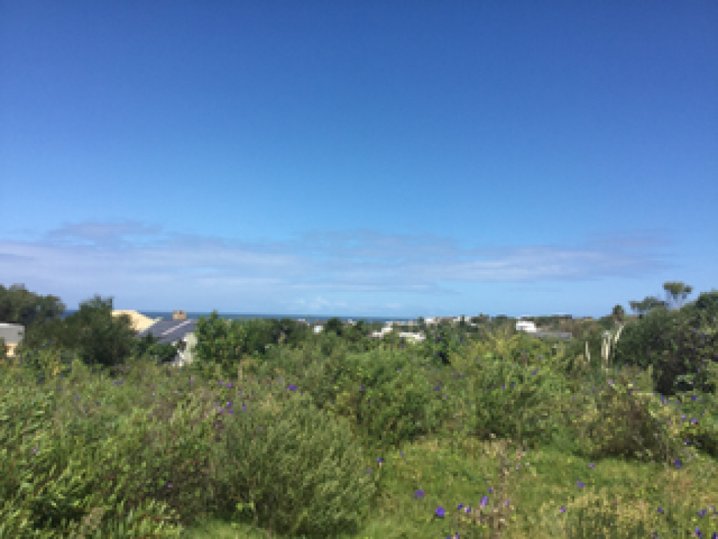 Venta  Punta del Este Altos de Punta Piedras